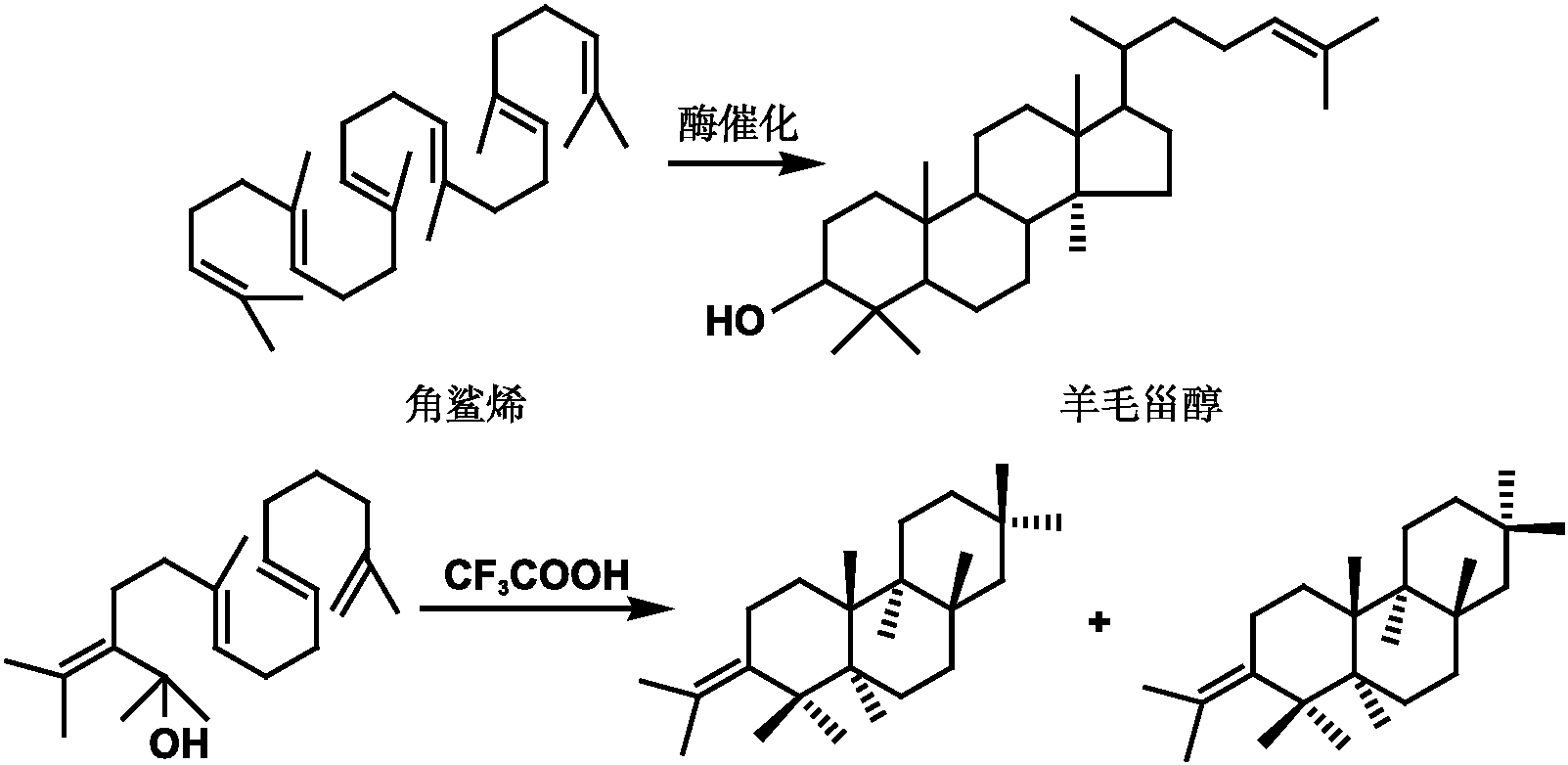 仿生物合成借鑒